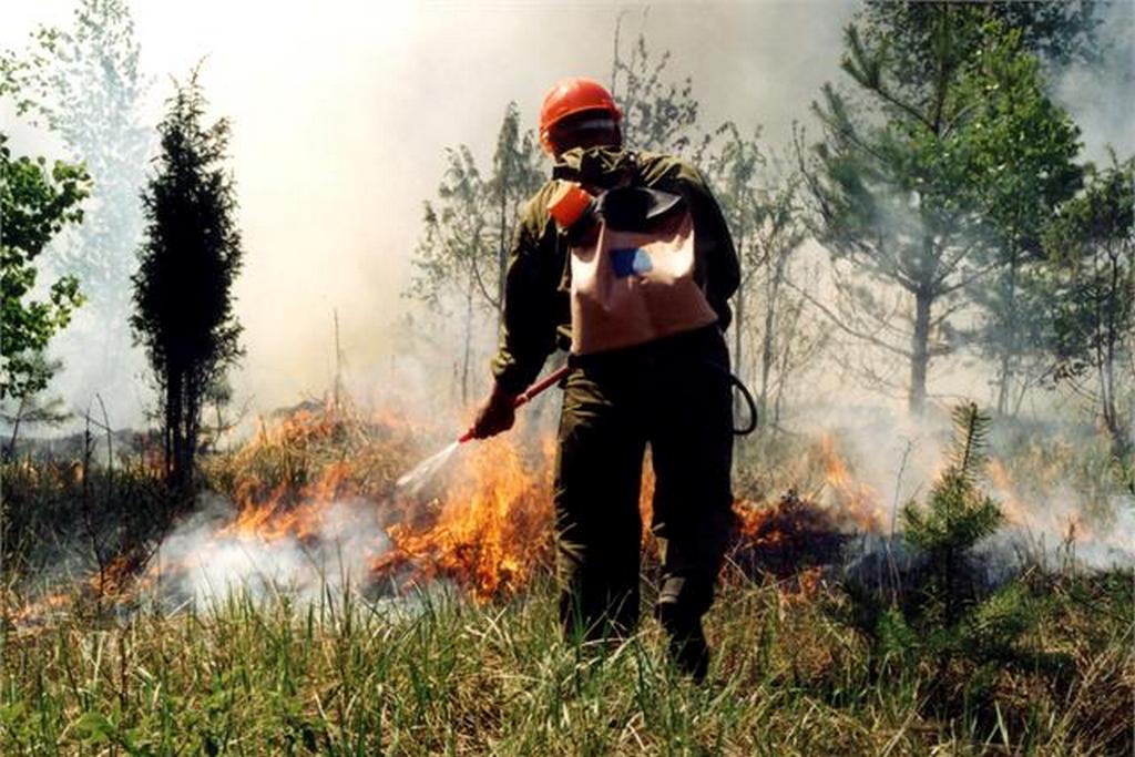 Утверждены новые правила тушения лесных пожаров