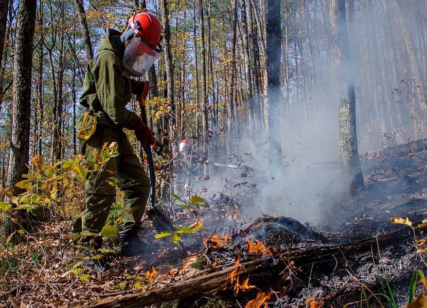 Высокий уровень пожарной опасности действует на Кубани