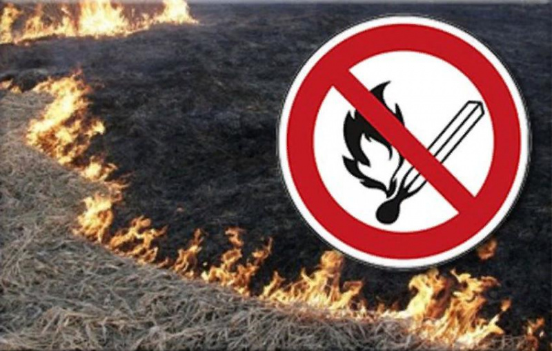 Ответственность за сжигание травы