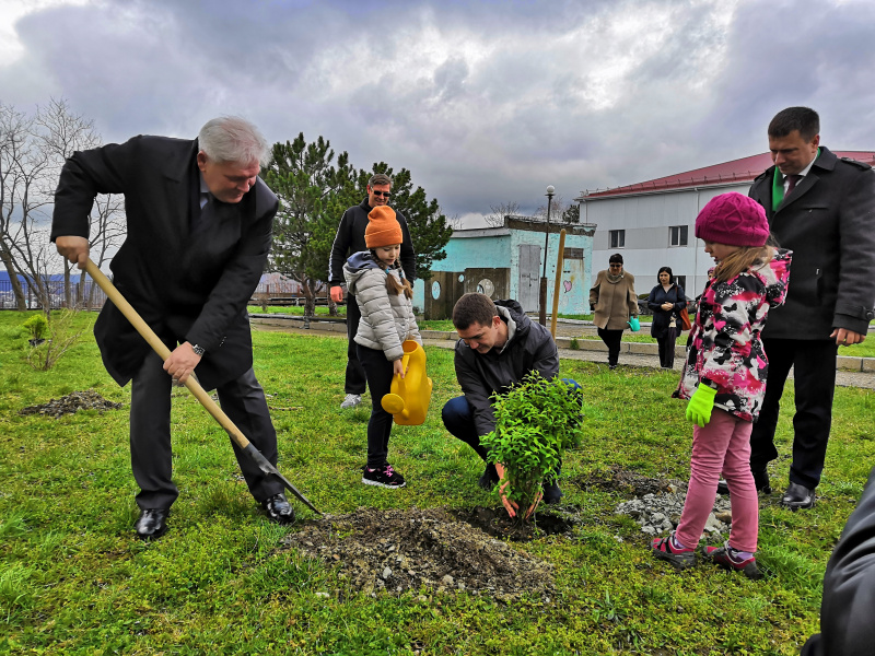 Владимир Зверев принял участие в зелёной акции на счетном участке школы 8
