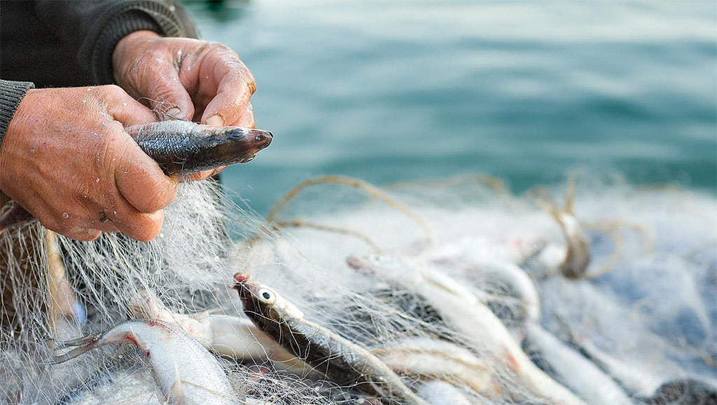  С 1 марта 2023 года обновлены требования к содержанию и формам рыболовного журнала